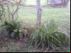 imagem_041