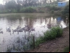 imagem_056