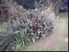 imagem_058