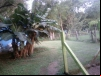 imagem_067