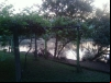 imagem_068