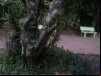 imagem_074