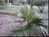 imagem_076