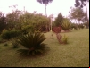 imagem_078