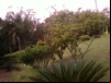 imagem_079