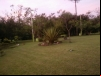 imagem_080
