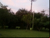 imagem_081