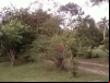 imagem_082