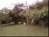 imagem_083