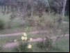 imagem_084