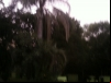 imagem_087