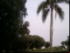 imagem_091