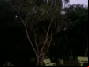 imagem_095