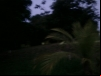imagem_099